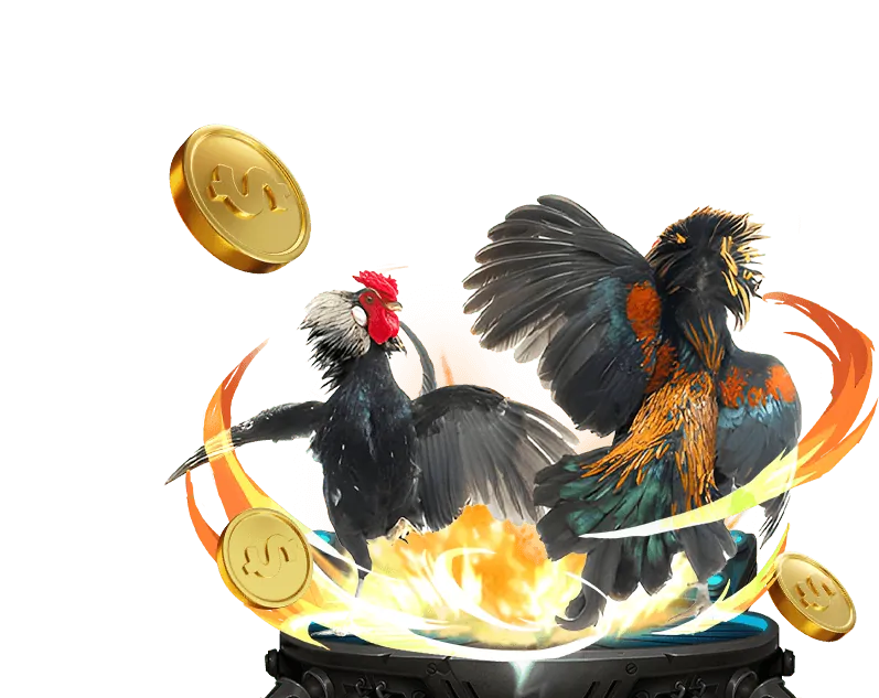 Tiền thưởng chào mừng BL555